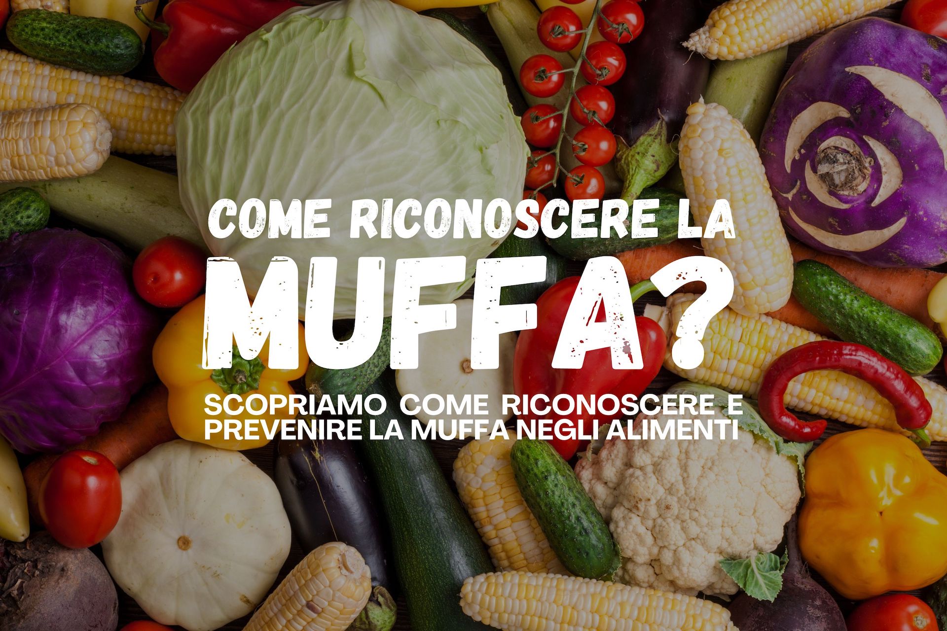 come riconoscere la muffa