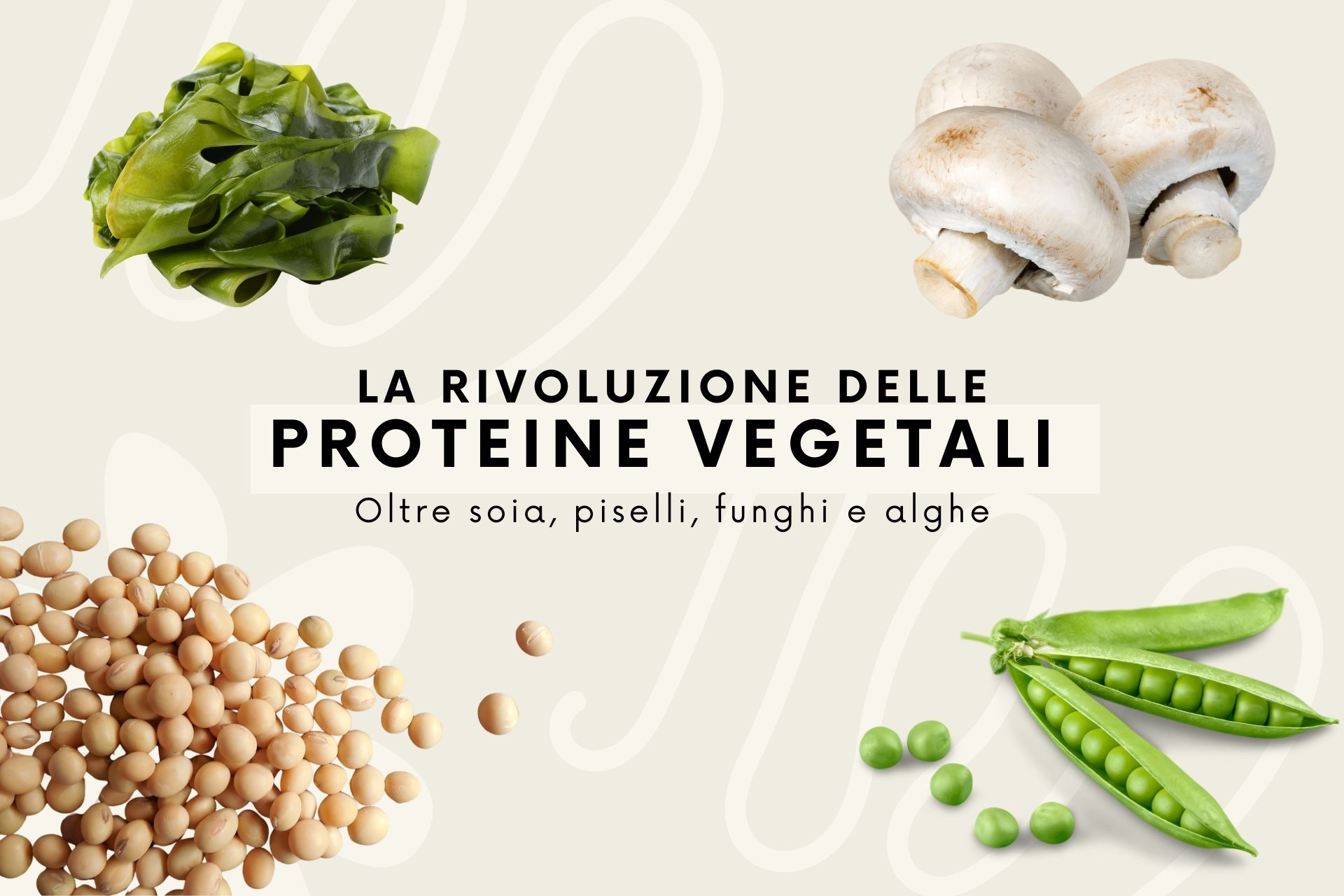 proteine vegetali emergenti